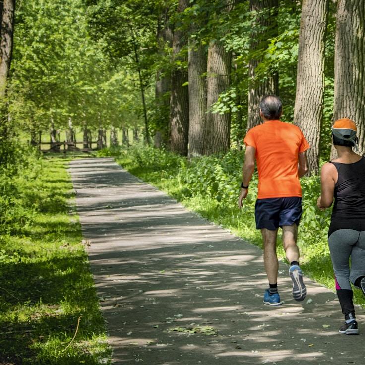 Wellness-focused fitness space with calm atmosphere